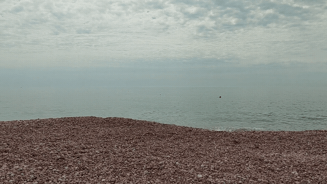 20210607-214550.gif
