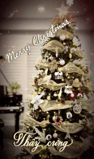 [Image: CF68-CAFF-A0-F2-41-E2-9464-C23-CC1-EA5-B...-E7-B1.gif]