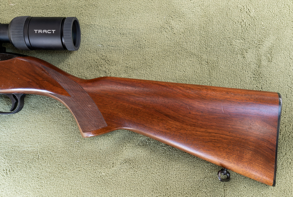 Ed1600Ruger1022For Sale 2018_0014 copy