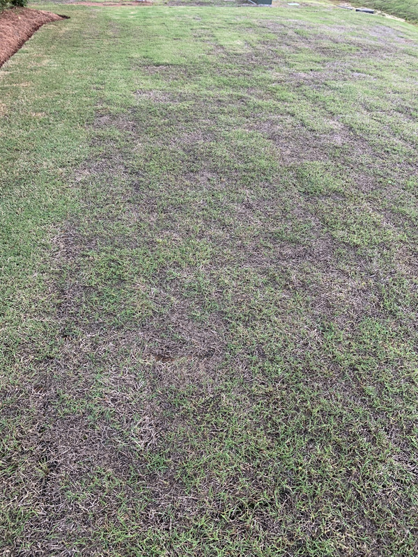 42DC2DE7-A66F-41F0-93B8-1229D977A18A