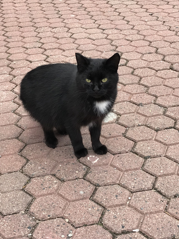 C283316E-B127-4D82-B650-DC9C4AEBE547