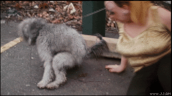 bizarre.gif
