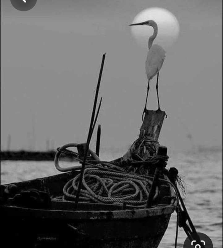 Screenshot_20230804_235347_Pinterest