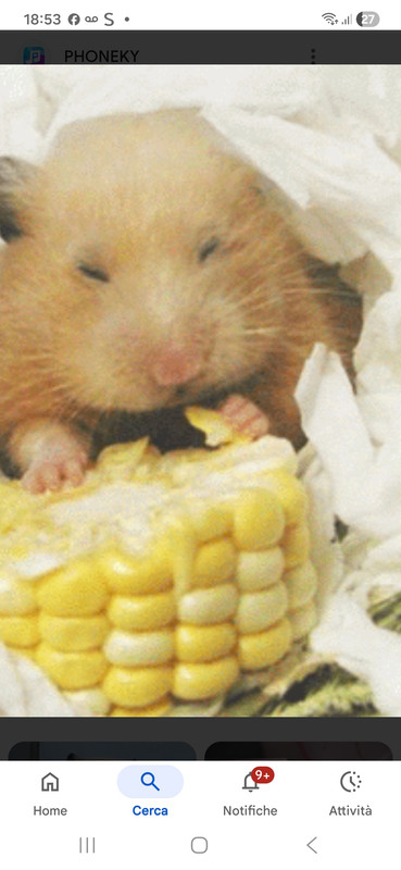 Screenshot 20260302 185317 Google