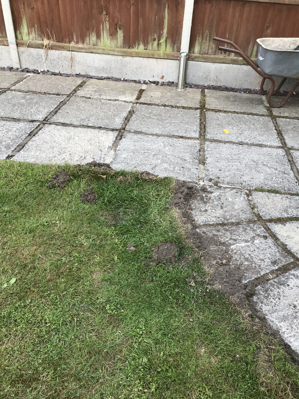 E1D7ABDF-2E3D-4492-B2ED-7BC7BD73B12D