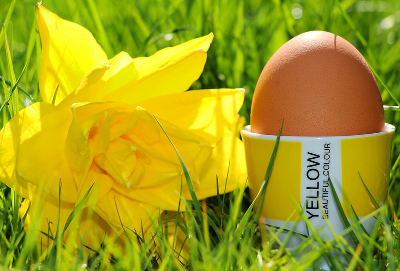 yelloweggcup.jpg