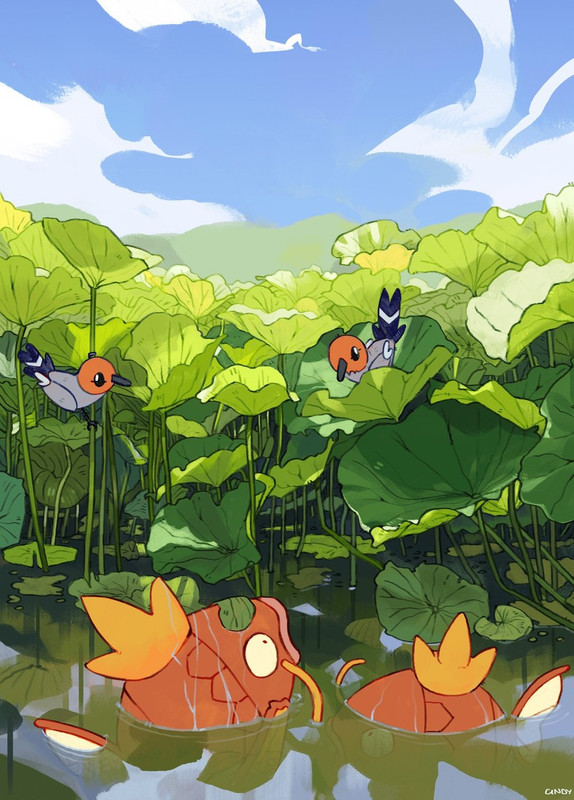 magikarp-and-fletchling-pokemon-drawn-by