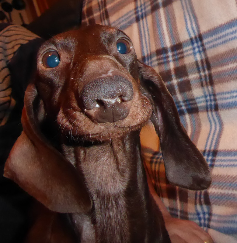 [Image: P1040360.jpg]