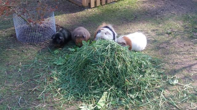 Bild