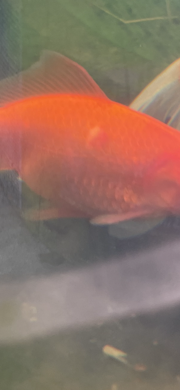 E504316E-D2A8-476C-94F8-EB4848ACC61E