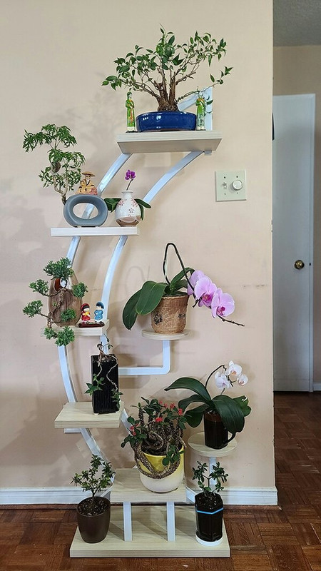 [Image: IMG-20250413-212016.jpg]