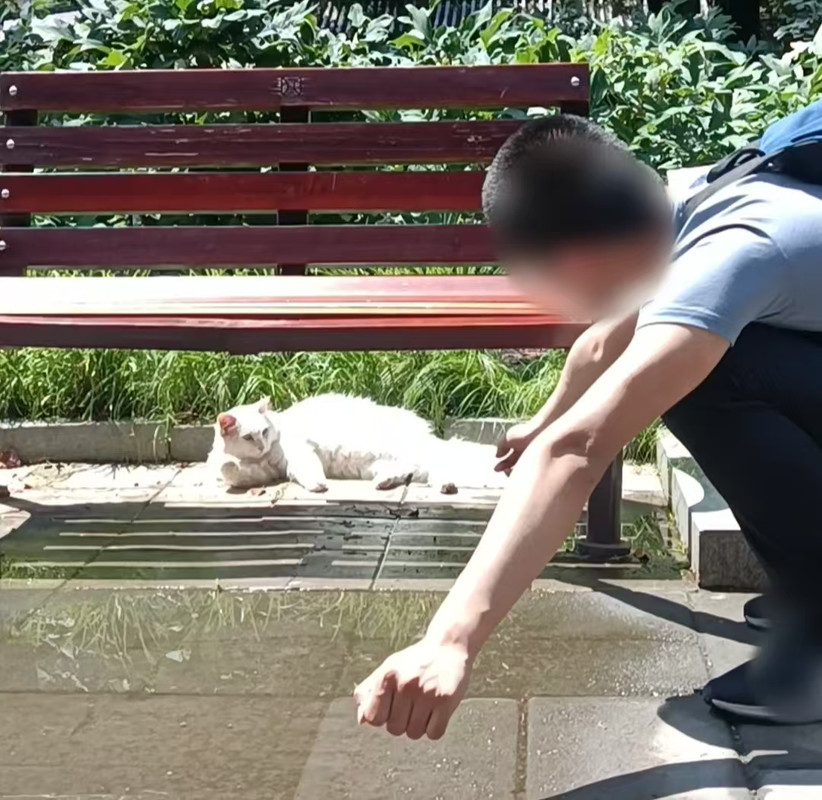 微信图片_20250615213805