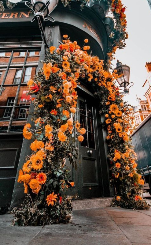 Screenshot_20230124_000642_Chrome