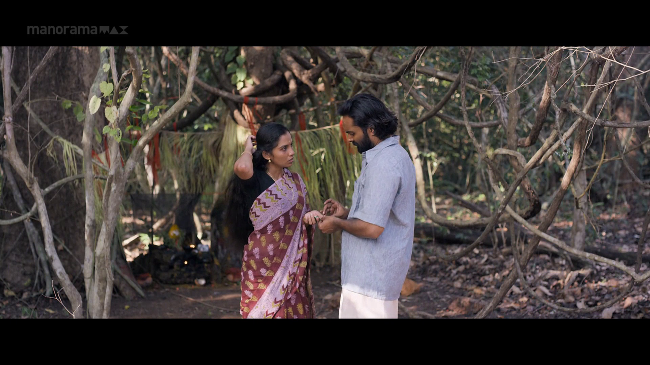 vlcsnap 2026 02 06 18h02m22s030