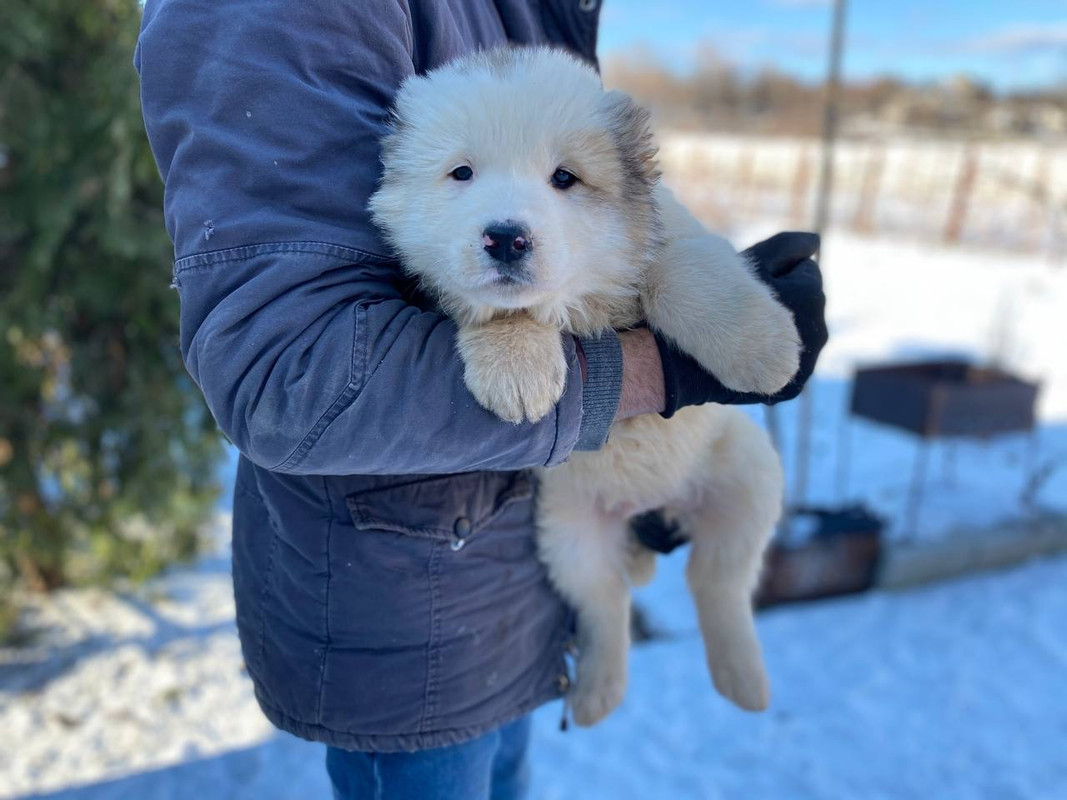 CFD6E8E9-F11B-4EA2-B260-631037AB97FD