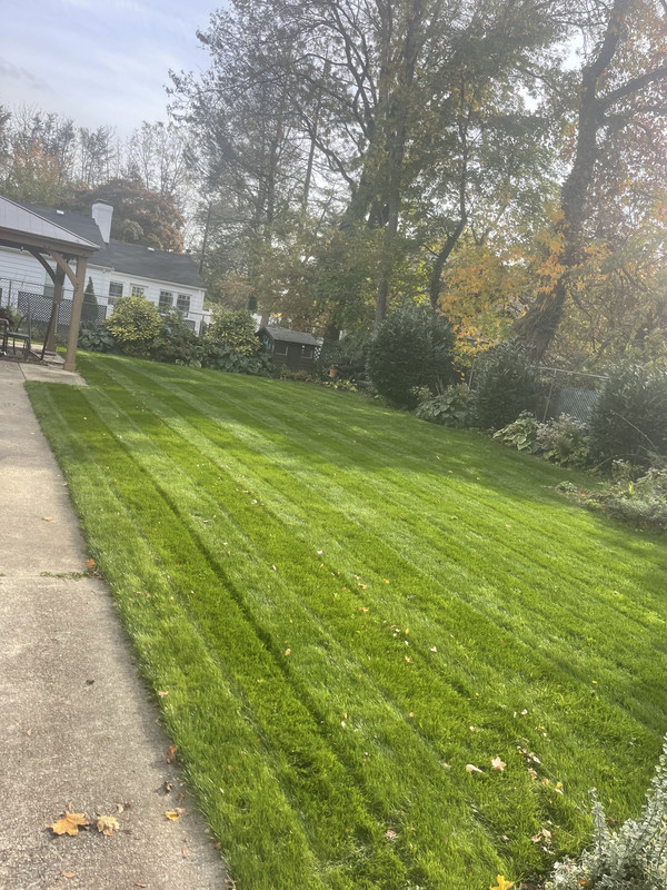 AC8D7C55-C82F-40F5-A854-AF55380C7183