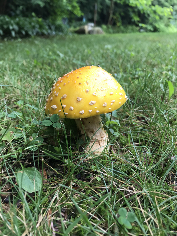 71983B25-4F26-494F-AFD6-D5749FE5EC74