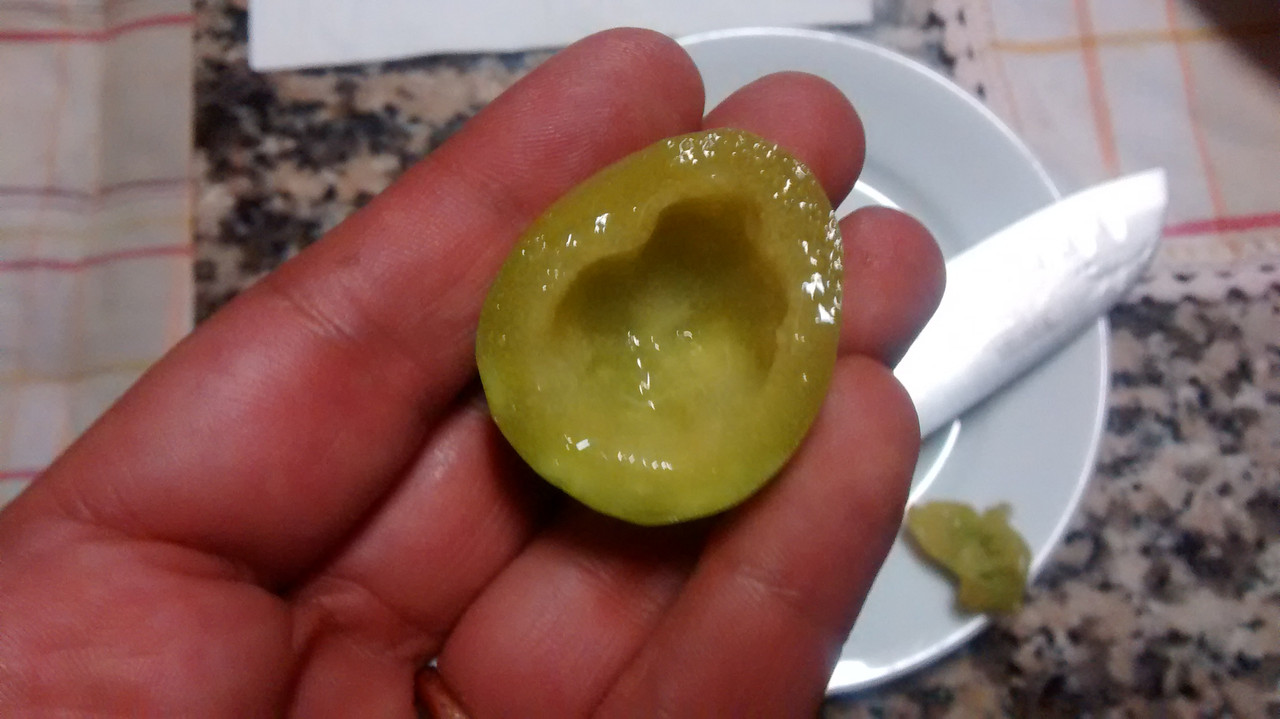 IMG_20151218_204553846