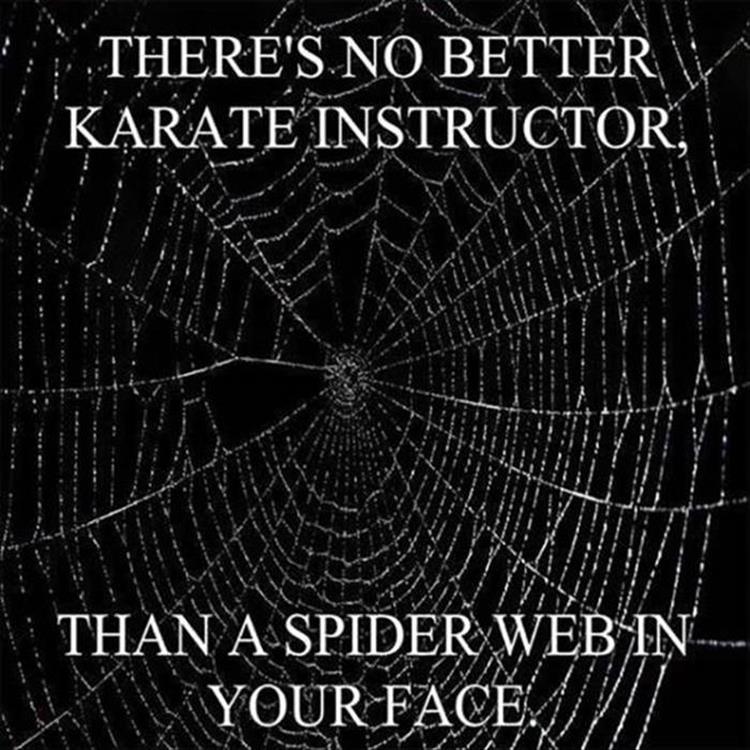 spide_web_in_face_best_katate_instructor.jpg