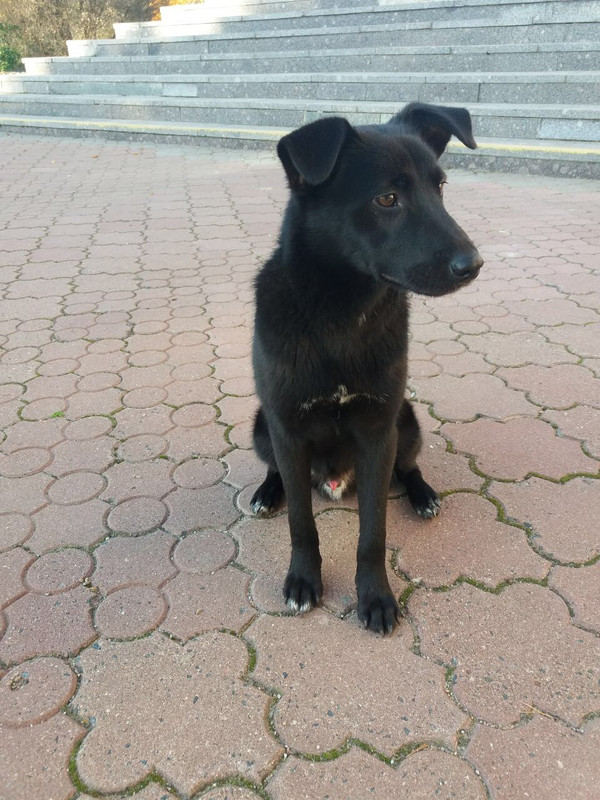 FAA3A64E-DA81-486A-BDF4-E20225B6A952