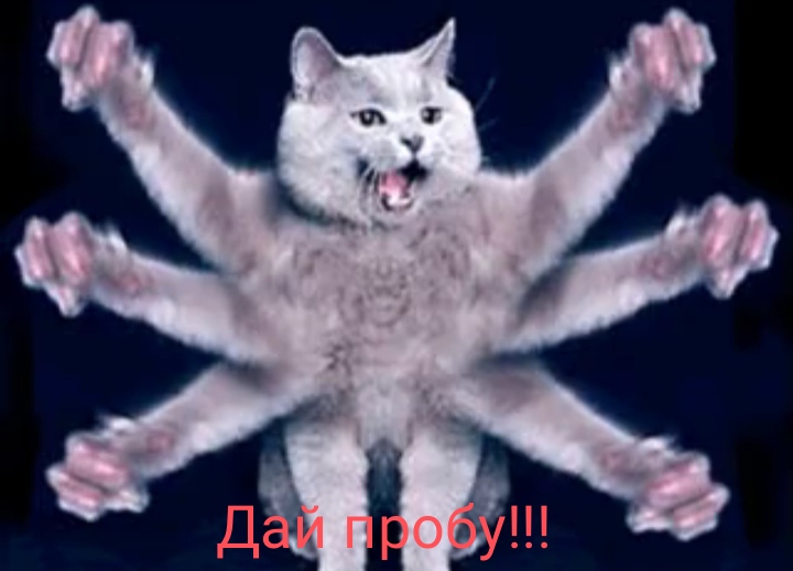 IMG-20221031-122816.jpg