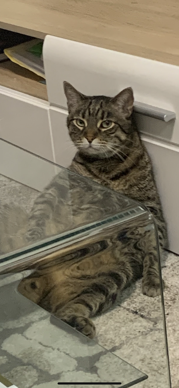 A5290CC3-9ACF-4006-B471-9E8BA101127F