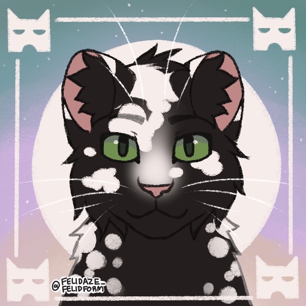 Made this kitty on Picrew, any ideas on a name for her? She's from WindClan  : r/WarriorCats