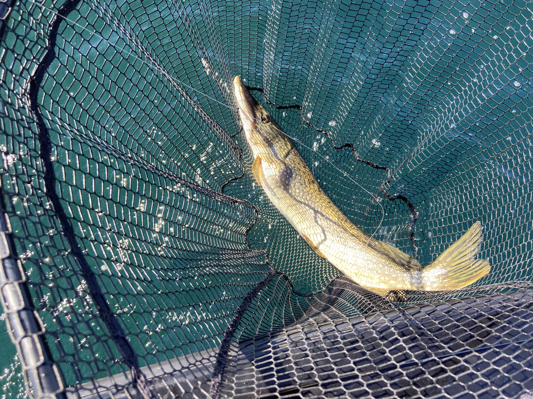 A9D977C0-2A0A-450E-ACCE-A4C71D4B763C