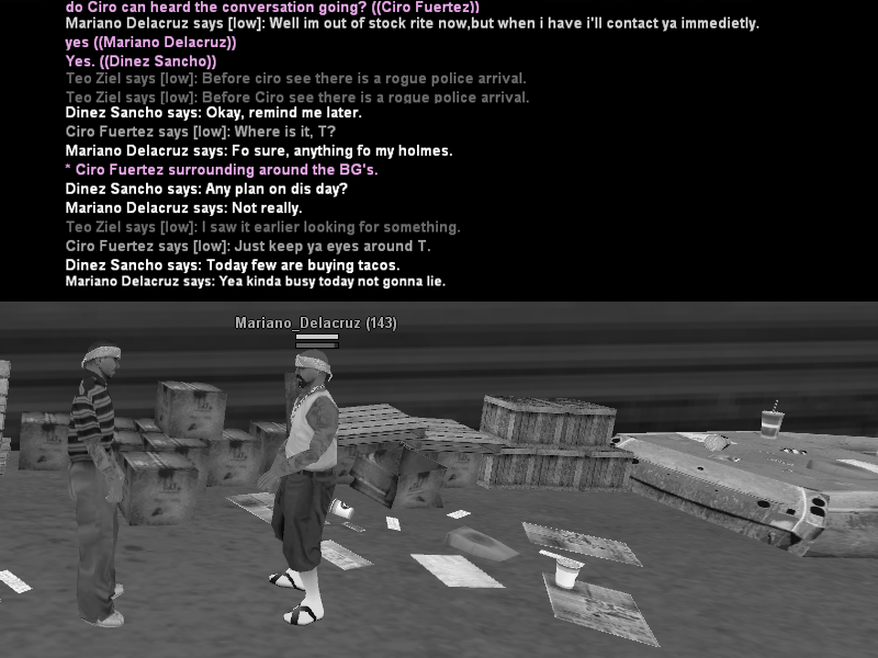 SSRoleplay91.png
