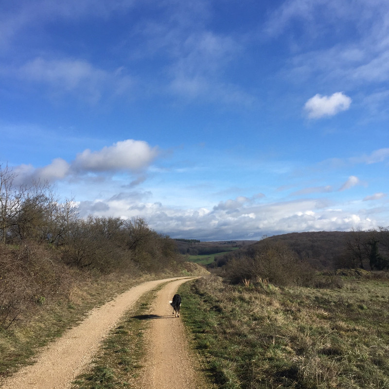 BAFEB0C8-6B3F-416A-B7A7-65CE6D32E0F6