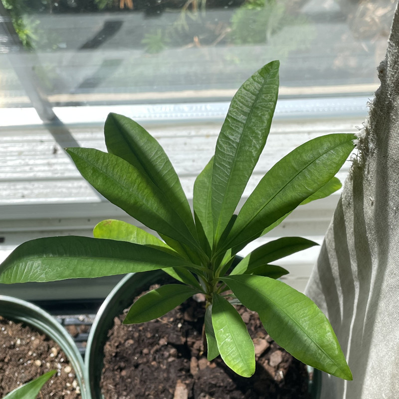 0C512E0F-E650-4D42-8537-CCC2971C6226