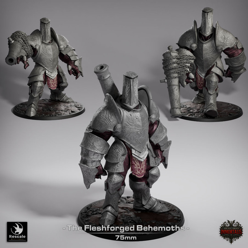 https://i.postimg.cc/RFmLD7v6/The-Fleshforged-Behemoths.jpg