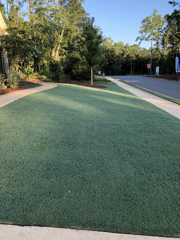 80C52F51-7766-49DF-979A-414DE0554876