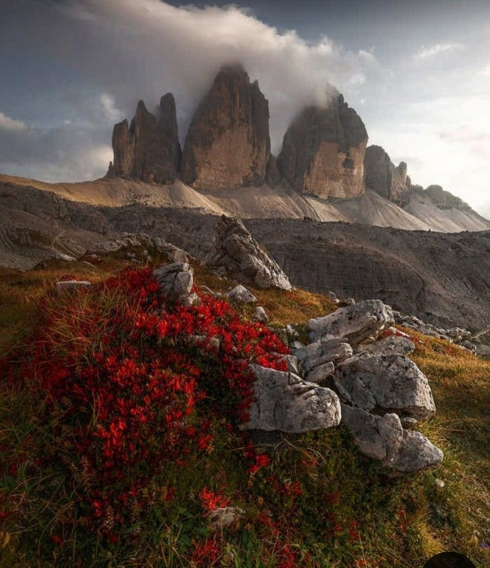 Screenshot_20240529_230121_Pinterest