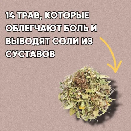 gg-webp-webp-webp-webp
