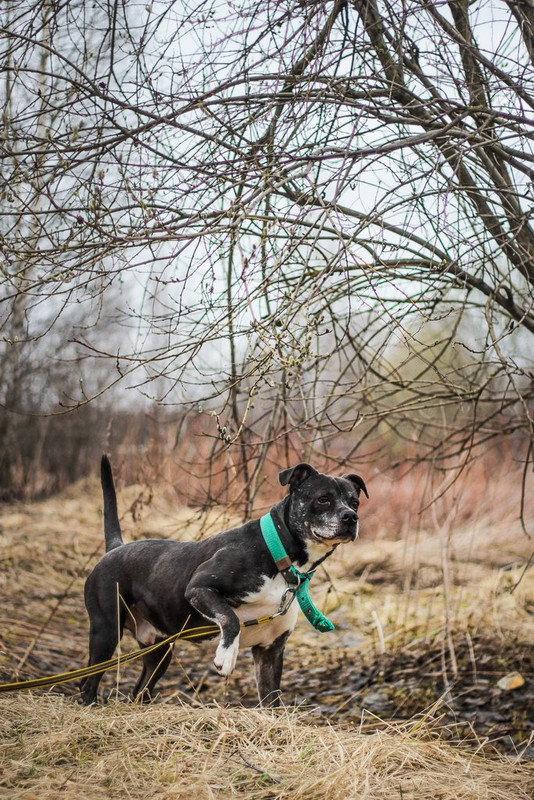 без имени-0417