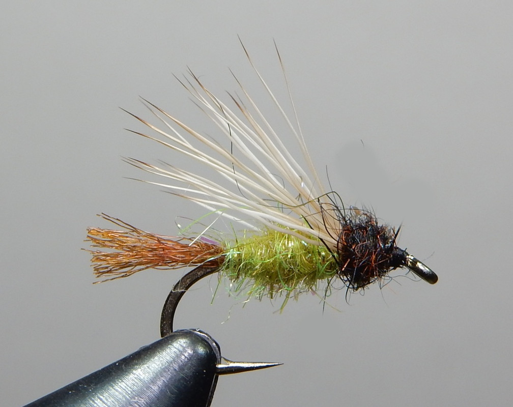 Caddis-Emerger-2-1080.jpg