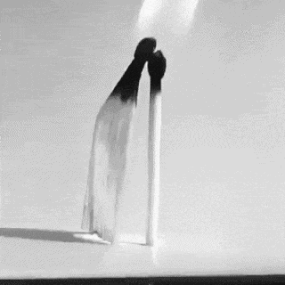 IMG-3970.gif