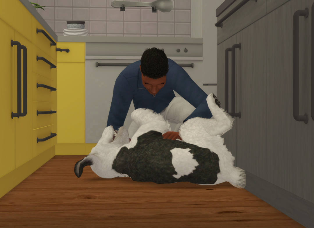 Sims2-EP9-RPC-2024-04-17-20-39-32-62