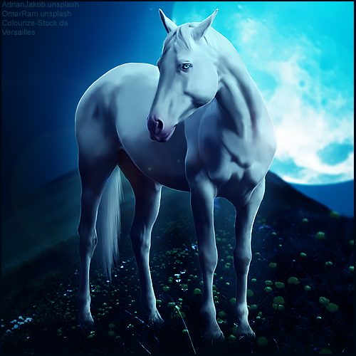 MoonHA2.png
