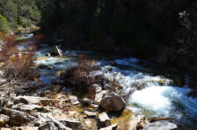 RUTA RIO BOROSA-12-3-2016-JAEN - Paseando por España-1991/2016 (24)