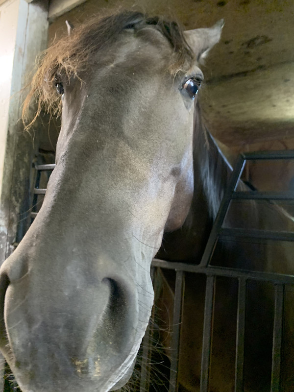 A3A10335-C445-48A1-81DD-CE5FBFAF765B