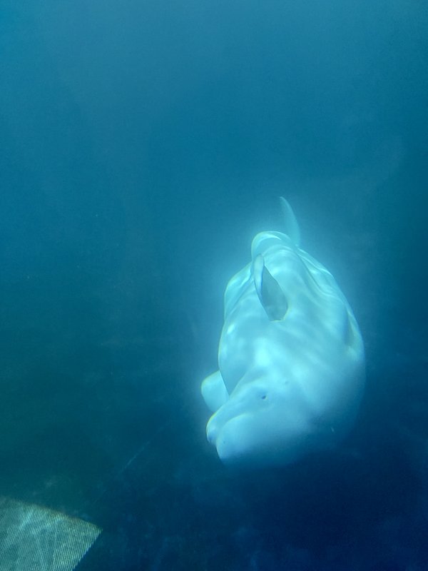 [Linked Image from i.postimg.cc]