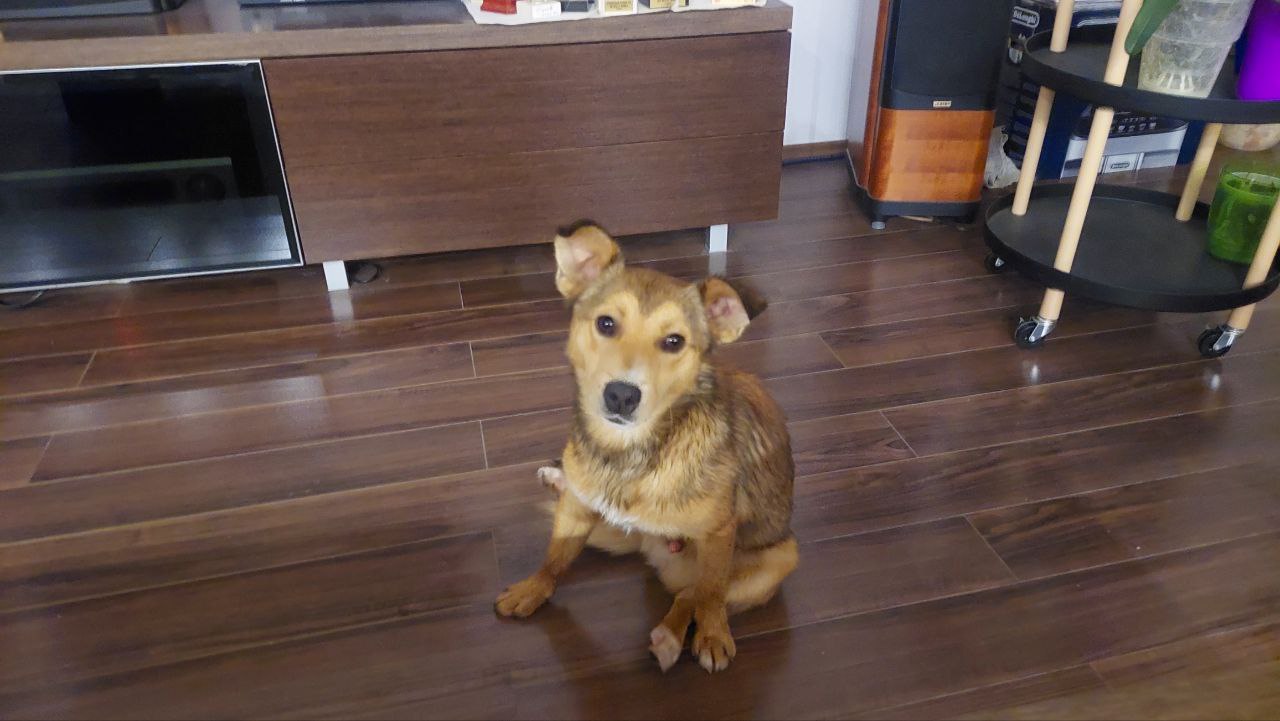 photo_2024-11-06_21-26-09