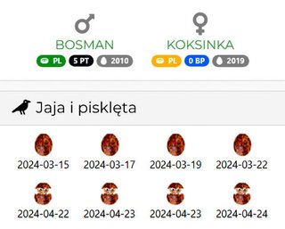 Gdynia-PGE - Pagina 2 Przechwytywanie-w-trybie-pe-noekranowym-24-04-2024-215012