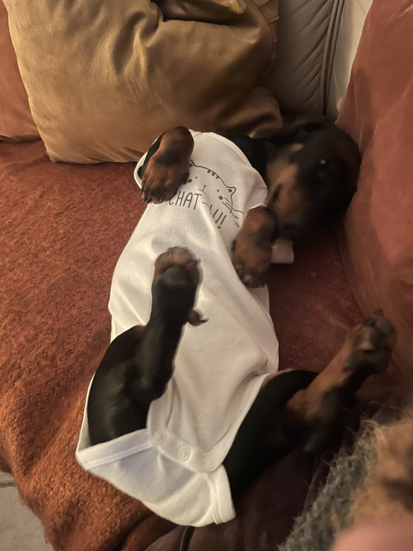 [Image: IMG-2400.jpg]