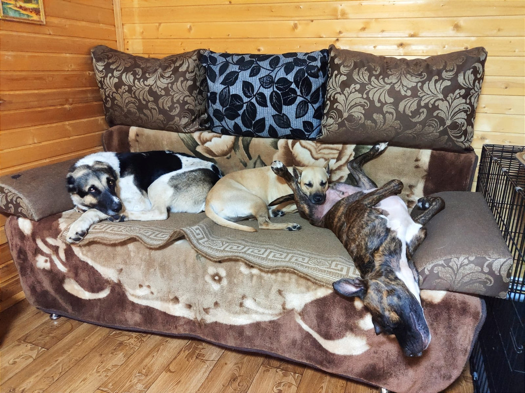 B2178019-80B4-4AD5-82DB-8CAFC345E973