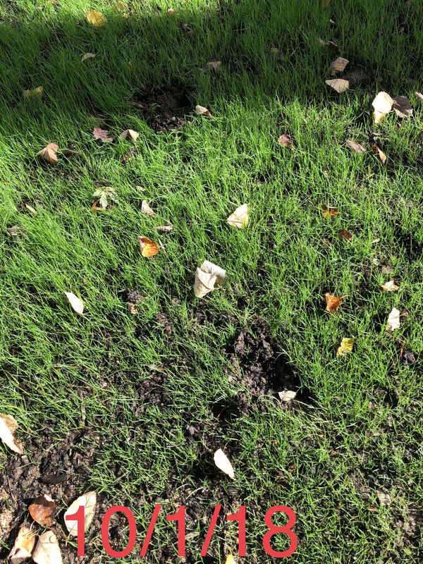 3717E47C-55C3-45B0-8AE3-528EA8598B0D