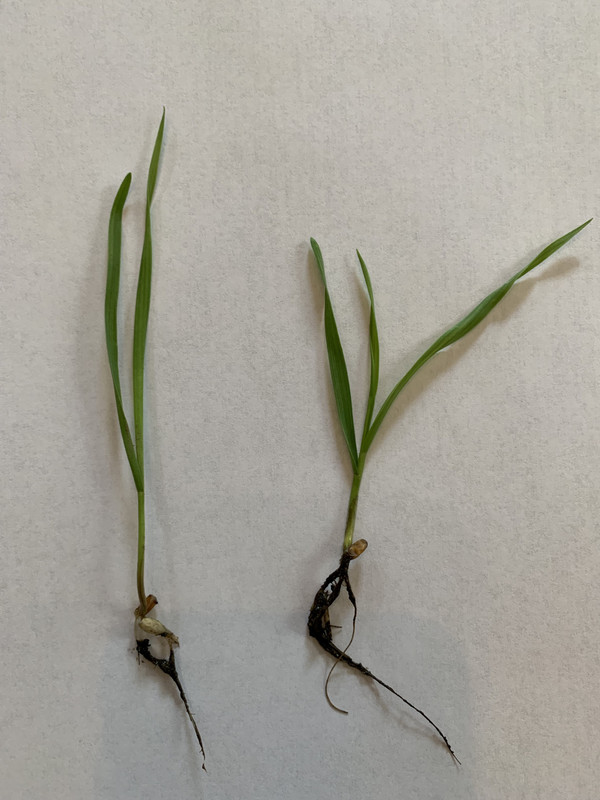 9EqeJWVMSUmjy6hXG7i6GQ