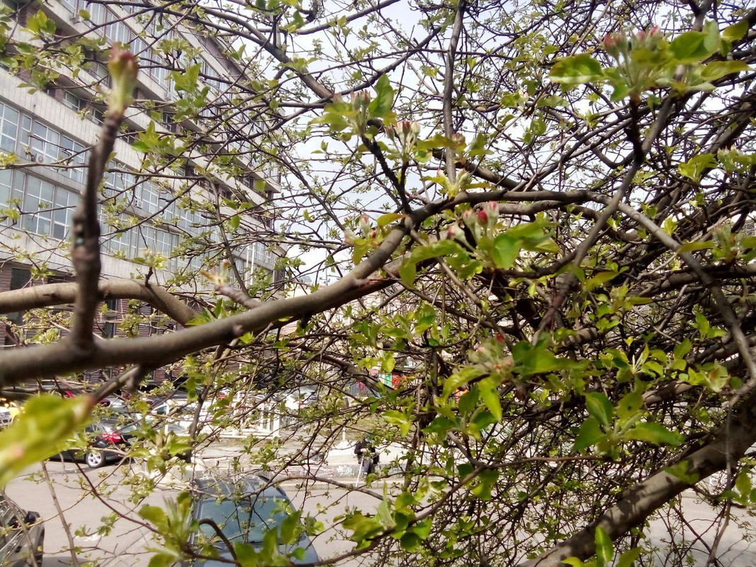 photo_2025-04-05 7.16.21 пп